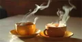加拿大研究人员表示：夏天喝热茶能让人凉快下来