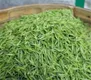江西遂川：育才助茶产业壮大