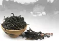 乌龙茶的历史故事，揭秘乌龙茶的起源！