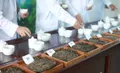 第十一届勐海（国际）茶王赛初赛圆满结束！