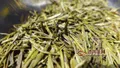 黄茶籽保健作用，黄茶籽的用途