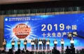 安徽岳西县荣获“2019中国十大生态产茶县”称号