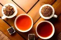希望借进博会将锡兰茶进一步推向中国市场 访斯里兰卡茶叶制造商司迪生总经理阿莱克斯·戴维