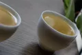 如何理解喝普洱茶时的体感？