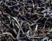 普洱生茶是怎么发酵的？