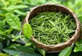 湖北茶叶出口量居全国第五 今年茶叶总产量达33万吨