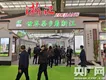 2019浙江（深圳）绿茶博览会开幕