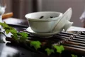 首部梅州茶文化专著《梅州茶文化》出版发行