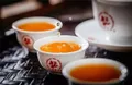 茶百科 喝普洱茶能减肥吗？