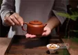 紫砂壶可以泡白茶吗？特别适合老白茶