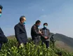 慕德贵赴普定县调研茶产业及疫情防控情况