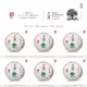 福元昌2020年春茶预售：三月系列357克饼 新六大茶山