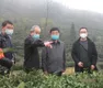 慕德贵率队到黔南州调研茶产业发展及复工复产工作