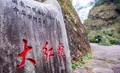 中国最贵的树——福建武夷山的母树大红袍