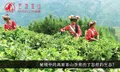 佤山映象直播：云游佤山，快来随我们一起探索秘境