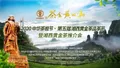 2020中华茶祖节·第五届湘西黄金茶品茶节将启幕