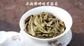 彩农茶:老曼峨.老帕卡