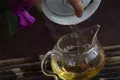 【普洱茶新手入门知识】普洱茶的冲泡