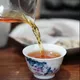 吉普号茶山黑话181：刚出老茶坑，又入老品种坑？茶圈套路这么深？