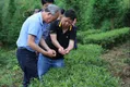 贵州省茶办组织专家开展茶产业防汛调研工作