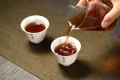 德丰昌识茶品茶：您喜欢几成熟的普洱茶？