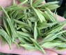 湖南湘西：龙山首个茶叶加工厂投产