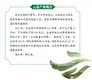 2020年云南省“10大名茶”