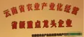 云南茶企被評為省級龍頭資格