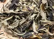 白茶制作技术您了解吗