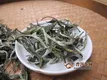 白茶的产地及品种介绍