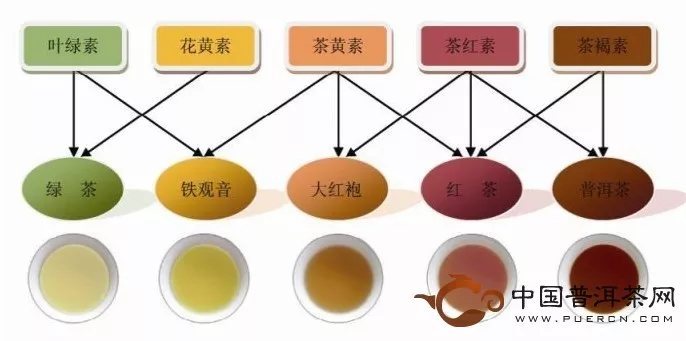 茶汤的茶色说明图