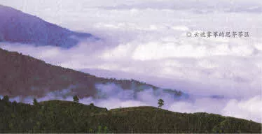 云遮雾绕的思茅茶区