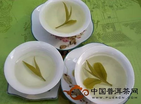 白牡丹茶