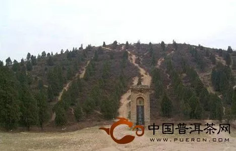 曹士桂墓位于鸣鹫镇本村后山麓