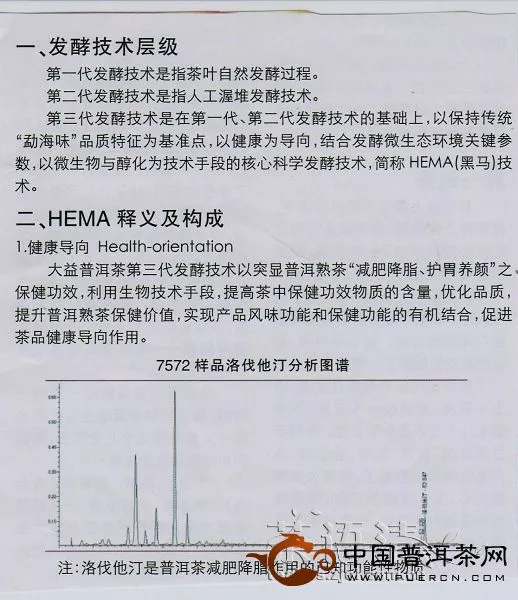 大益茶第三代发酵技术