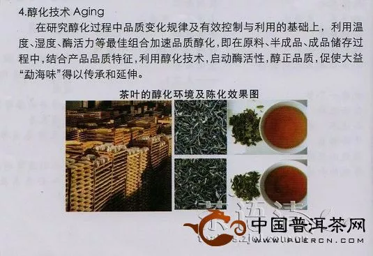 大益茶第三代发酵技术