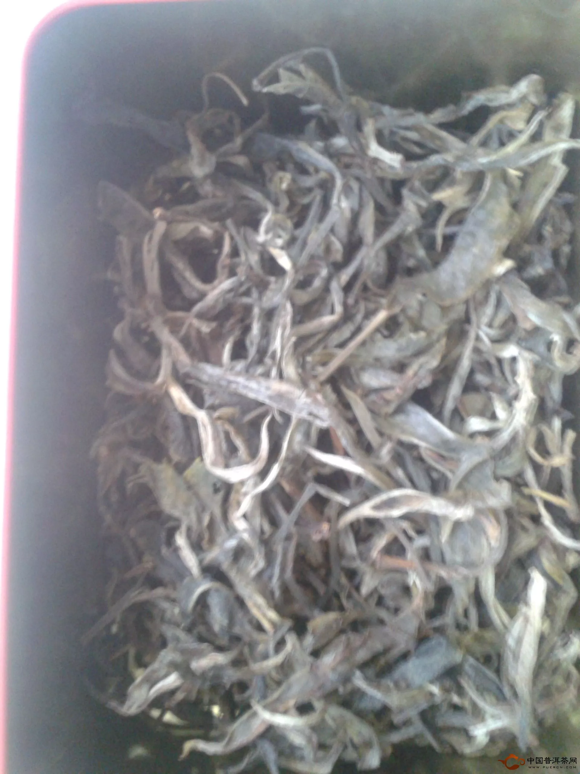 2012景迈普洱茶
