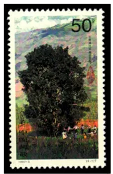 邮票《茶树》