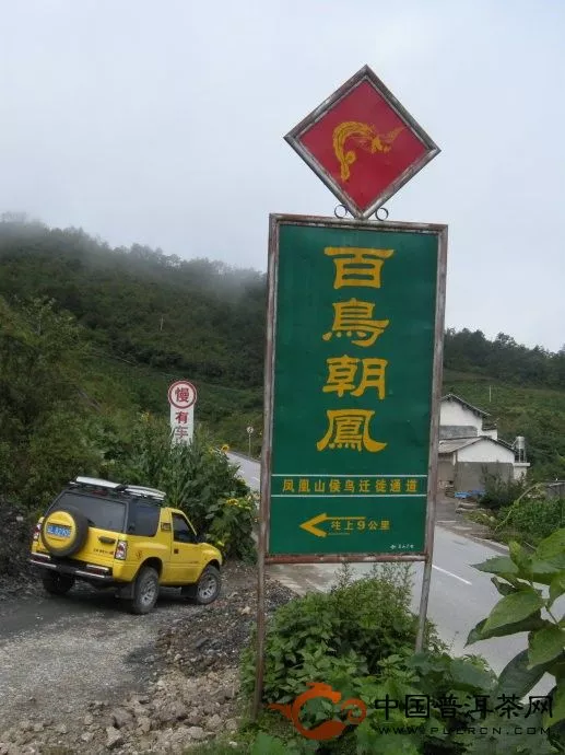 南澗生態(tài)茶園