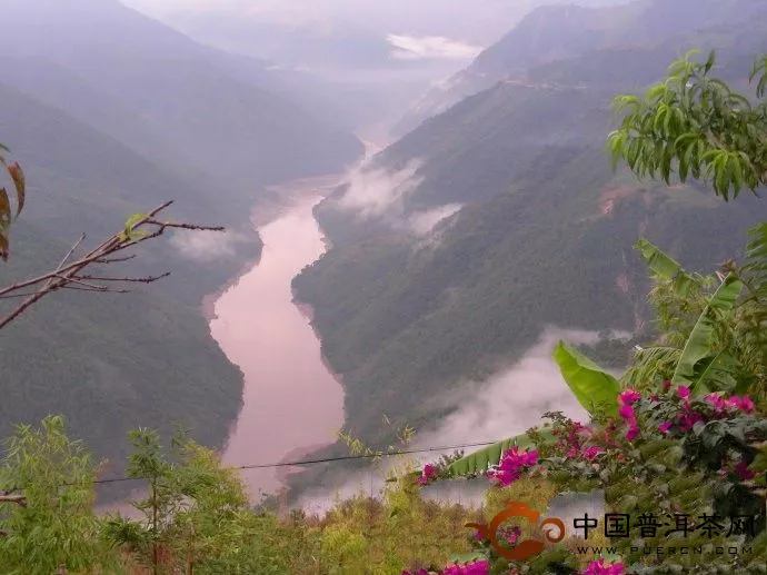 南澗生態(tài)茶園