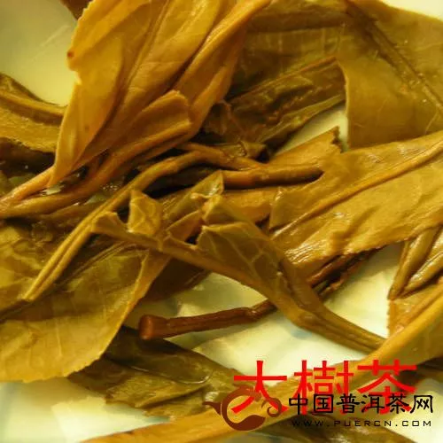 大樹(shù)茶葉底