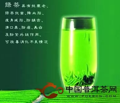 春茶涨价