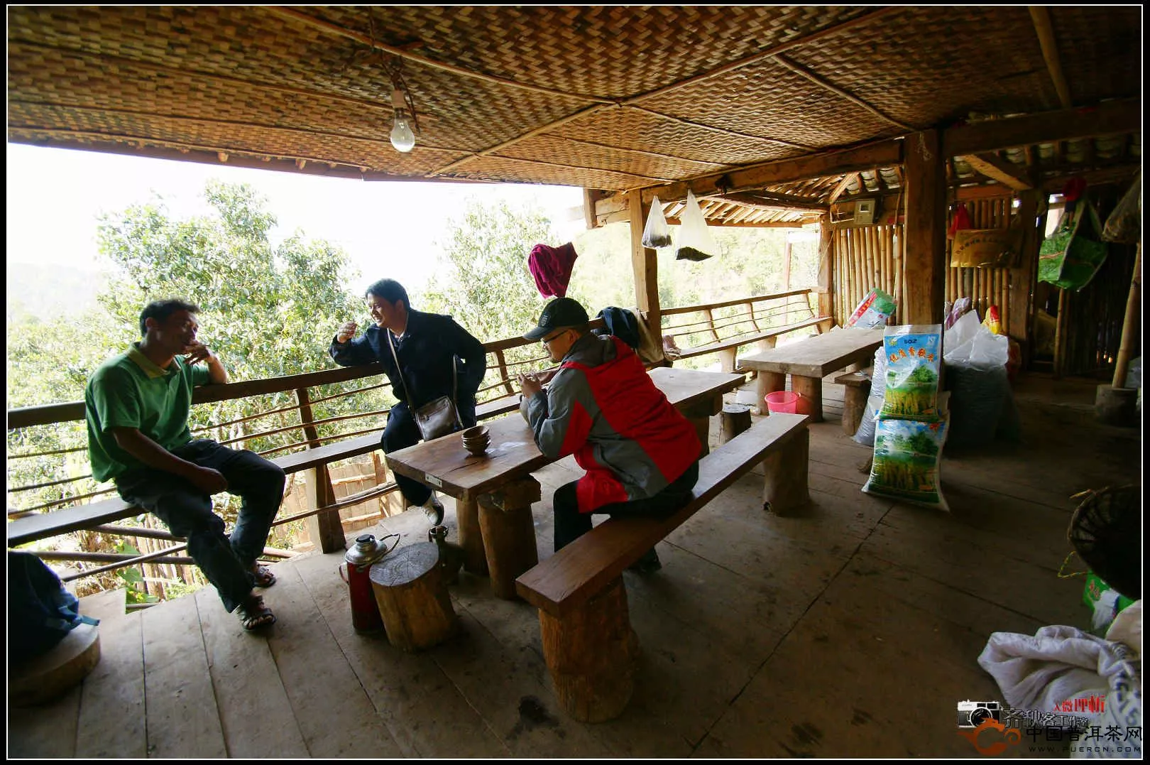 困鹿山古茶園