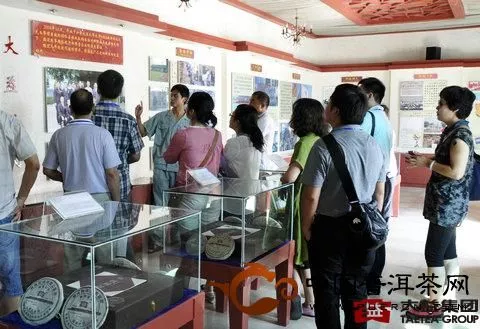 学习勐海茶厂历史