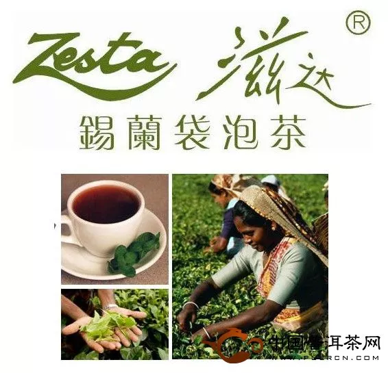斯里兰卡“滋达”红茶品牌