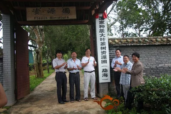 国家种质大叶茶树资源圃（勐海）揭牌仪式
