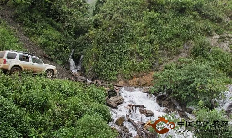 普洱茶區(qū)的路