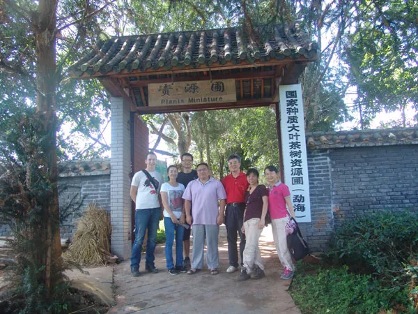 考察团一行参观国家种质大叶茶树资源圃（勐海）