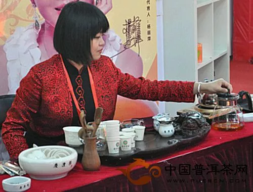 七彩云南茶业公司在商洽会展会上进行现场茶艺表演