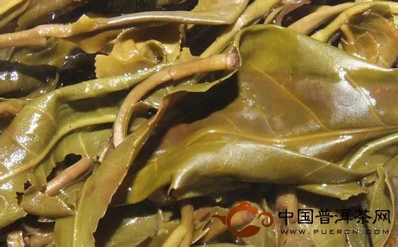 荒山野林易武料葉底